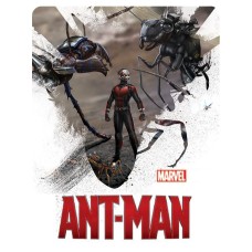 108505Z foaie de icing AntMan 29x20cm